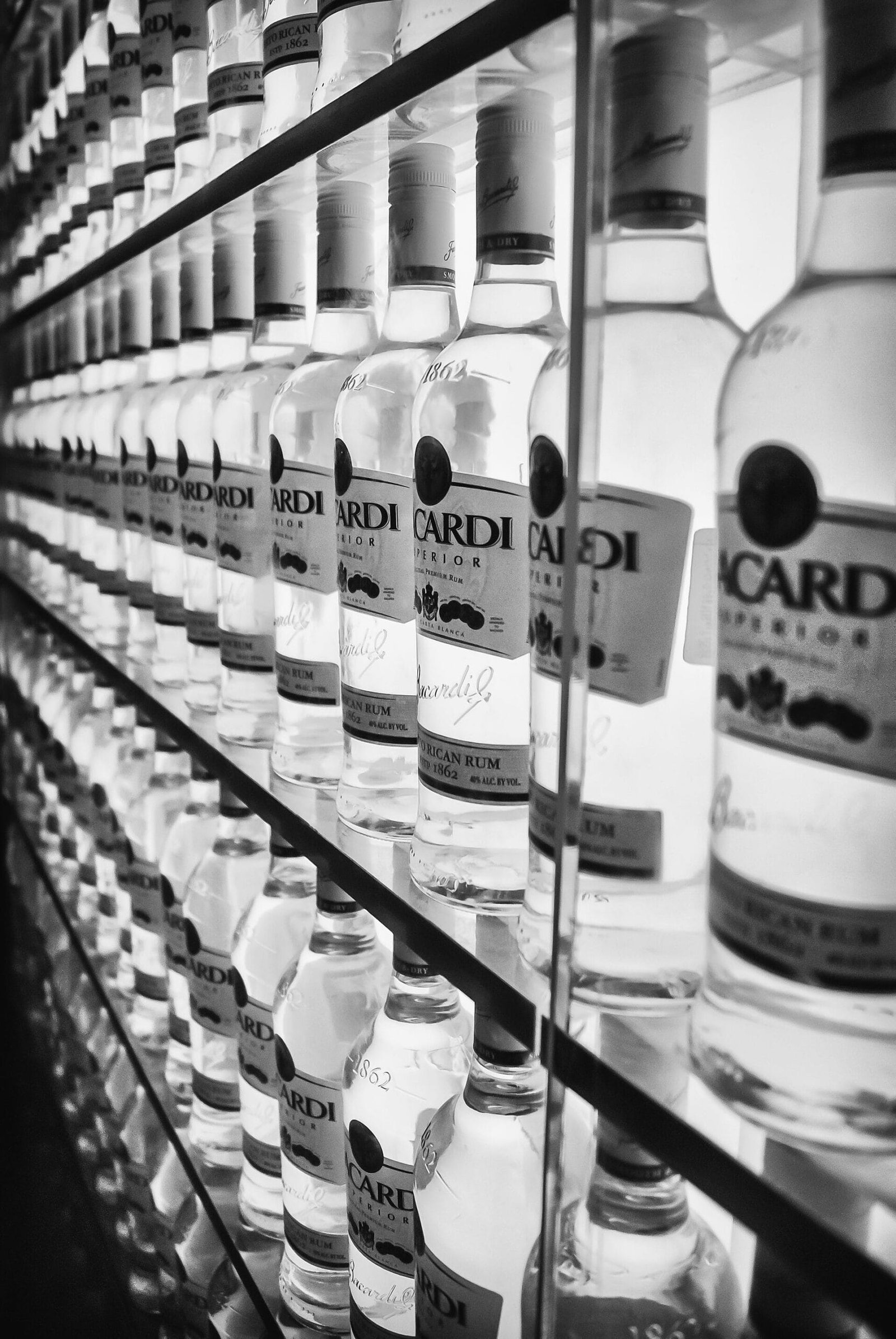 Casa Bacardí vs Ron del Barrilito: Which Rum Tour on a San Juan Cruise Day?