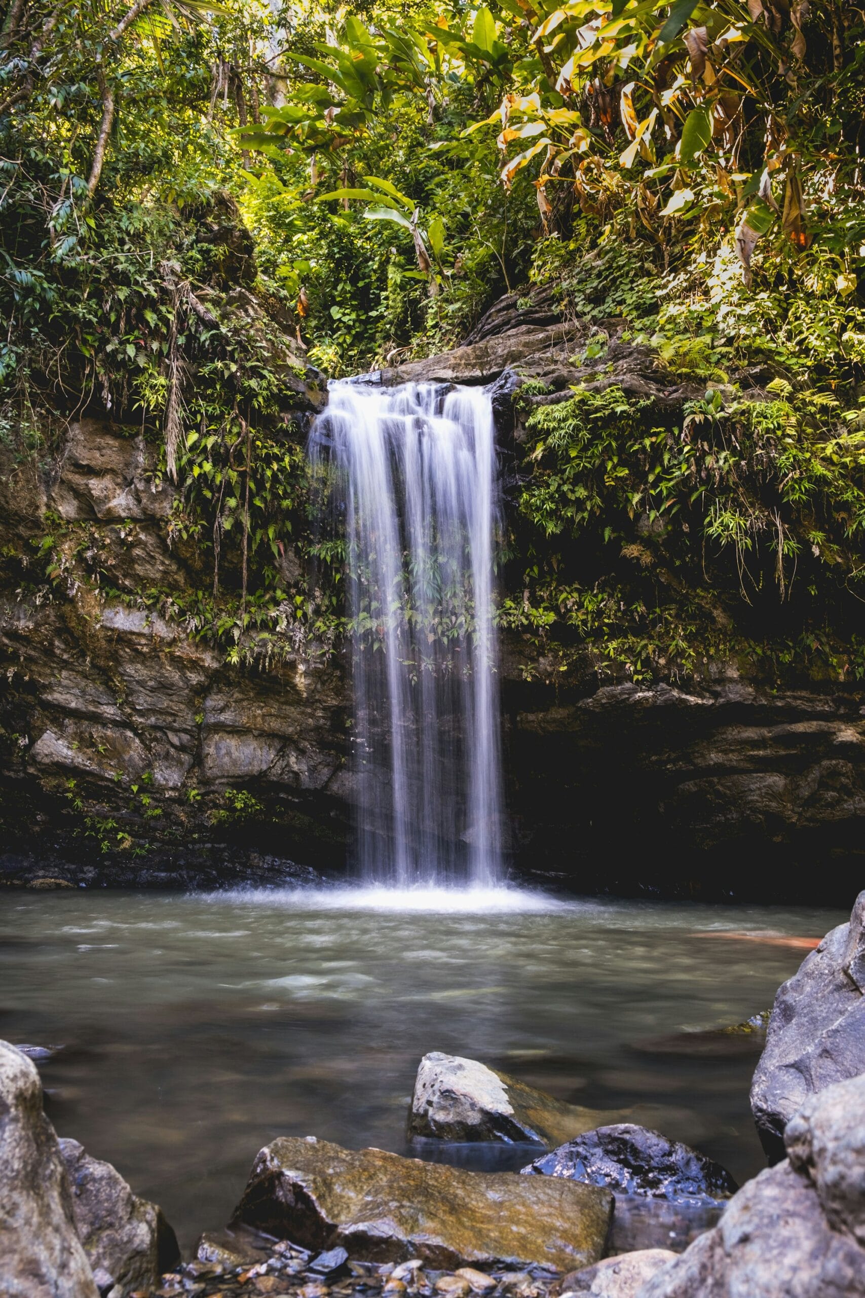 Waterfall in El Yunque National Forest rainforest, Puerto Rico