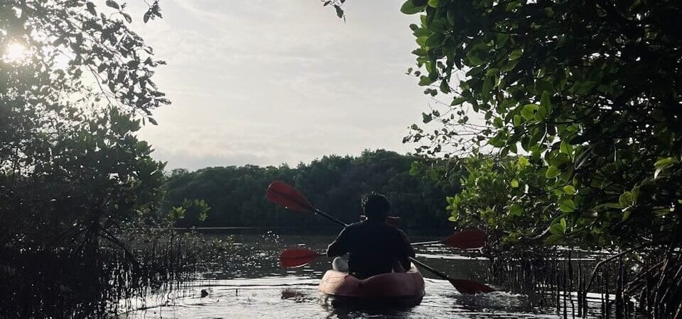 Bioluminescent Bay from San Juan: Kayaking Laguna Grande in Fajardo