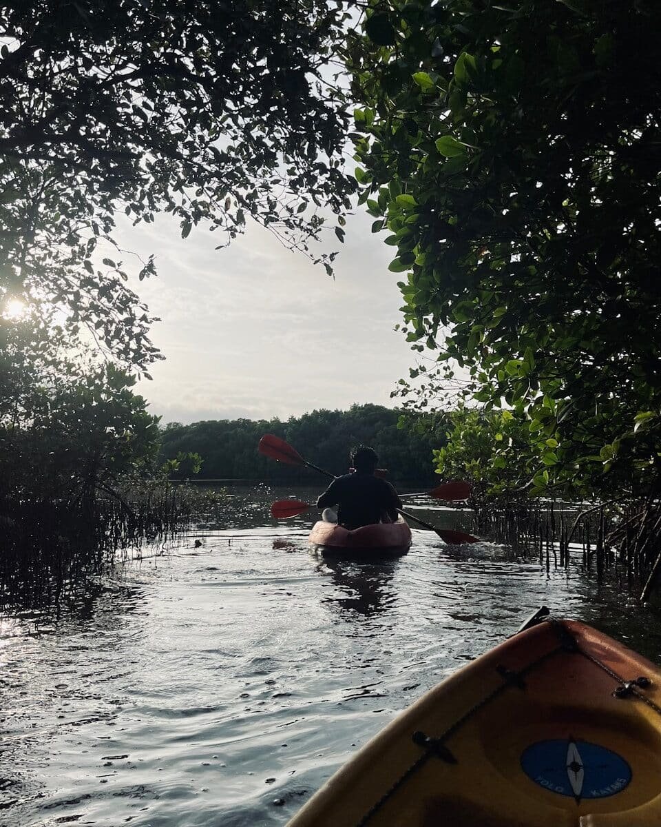 Bioluminescent Bay from San Juan: Kayaking Laguna Grande in Fajardo